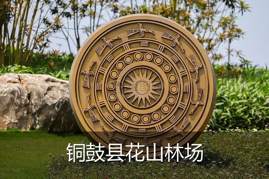 铜鼓县花山林场