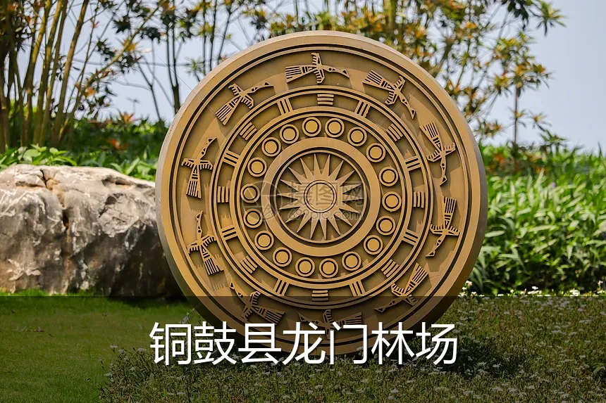 铜鼓县龙门林场